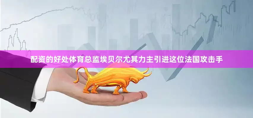 配资的好处体育总监埃贝尔尤其力主引进这位法国攻击手